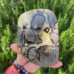 Septarian Slab