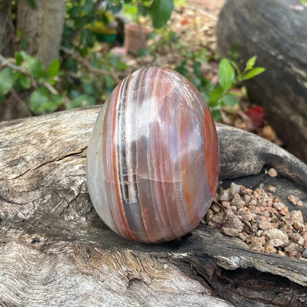 Sashe River Agate Egg