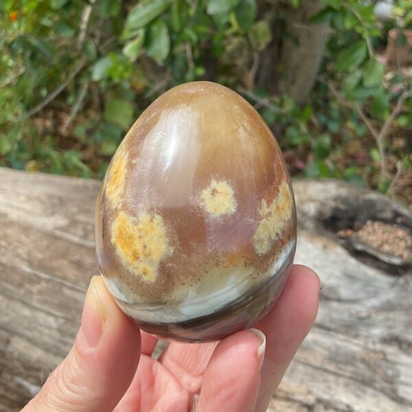 Sashe River Agate Egg - Image 2