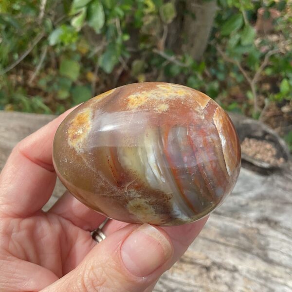 Sashe River Agate Egg - Image 4