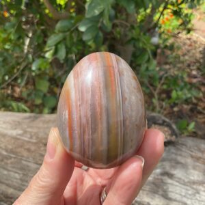 Sashe River Agate Egg