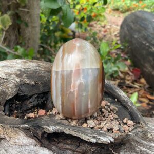 Sashe River Agate Egg