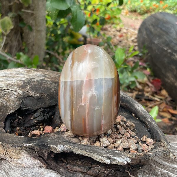 Sashe River Agate Egg