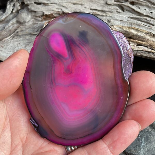 Lizard Agate Slice - Image 2