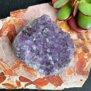 Amethyst Cluster