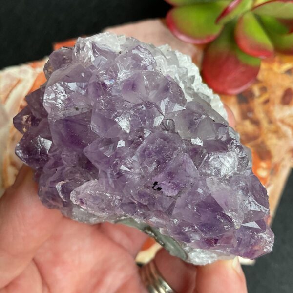 Amethyst Cluster - Image 3