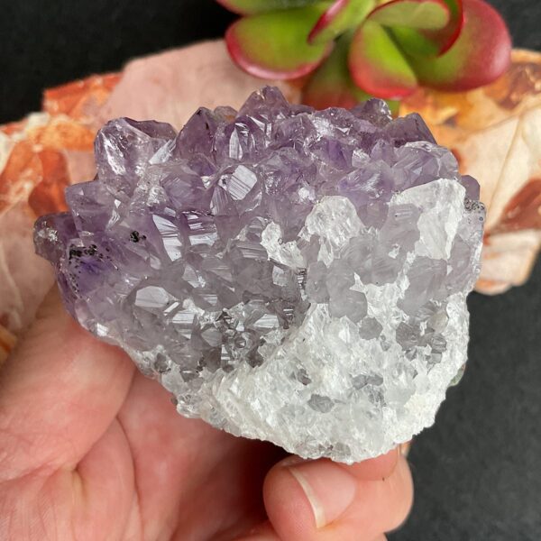 Amethyst Cluster - Image 4
