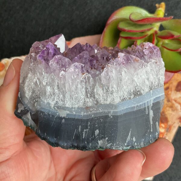 Amethyst Cluster