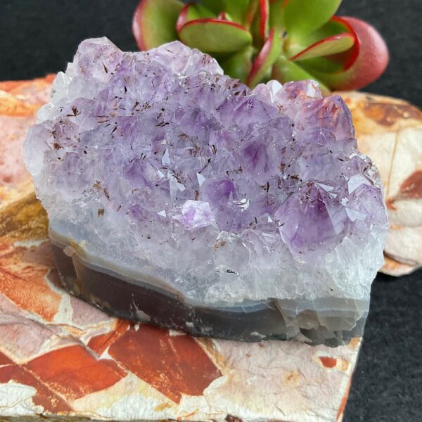 Amethyst Cluster - Image 2