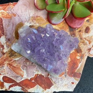 Amethyst Cluster