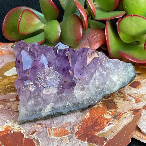 Amethyst Cluster - Image 3