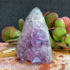 Amethyst Cluster