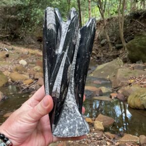 Orthoceras Fossil Tower