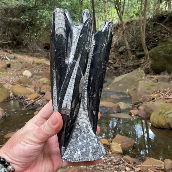 Orthoceras Fossil Tower