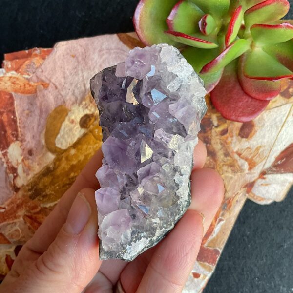 Amethyst Cluster
