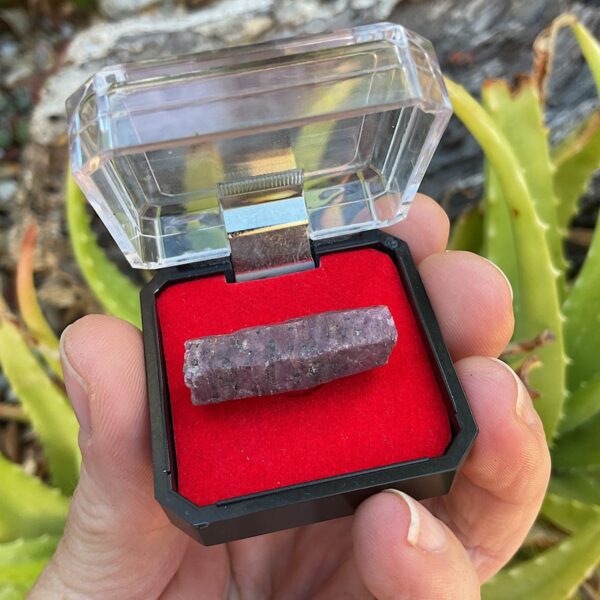 Ruby Corundum in Mineral Case