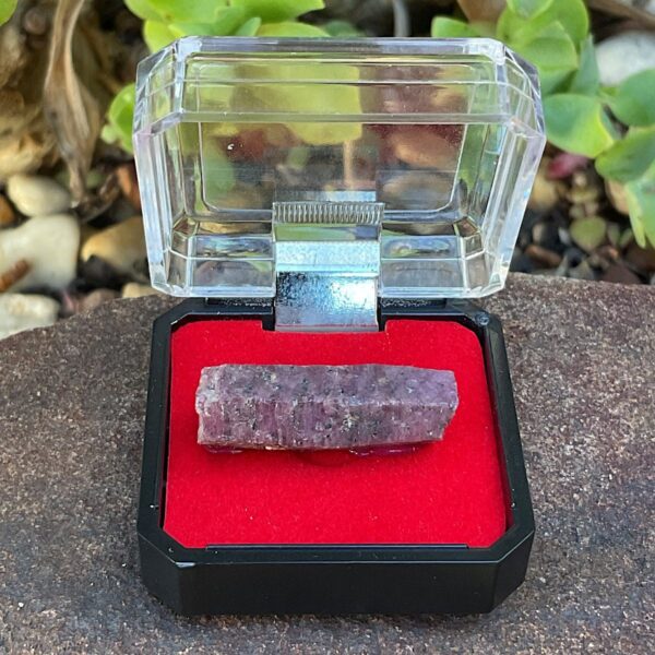 Ruby Corundum in Mineral Case - Image 2