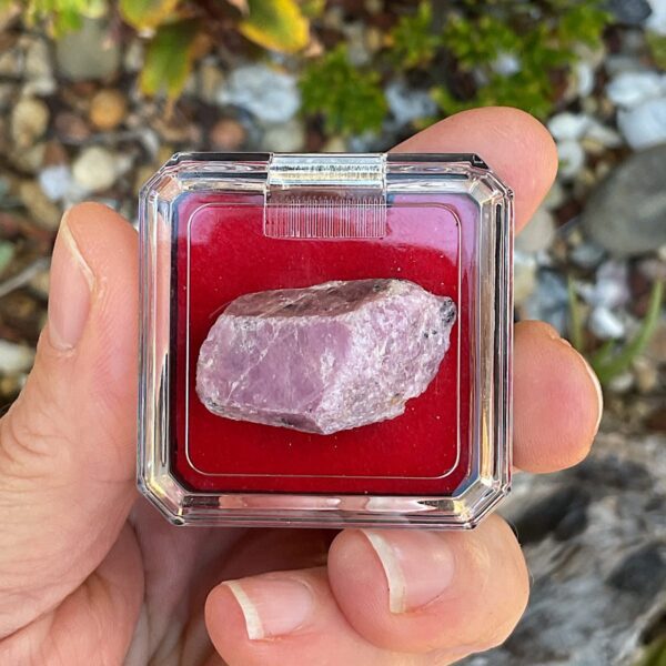Ruby Corundum in Mineral Case