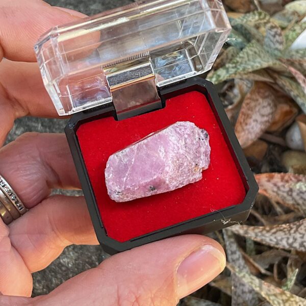 Ruby Corundum in Mineral Case - Image 4