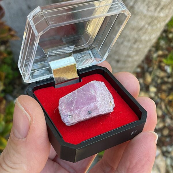 Ruby Corundum in Mineral Case - Image 2