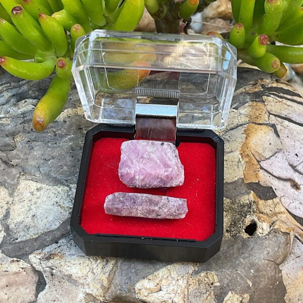 Ruby Corundum in Mineral Case