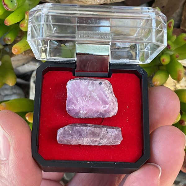 Ruby Corundum in Mineral Case - Image 3