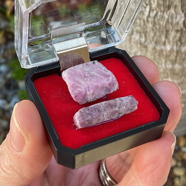 Ruby Corundum in Mineral Case - Image 4