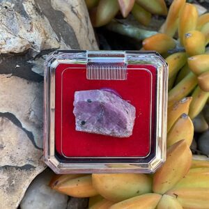 Ruby Corundum in Mineral Case