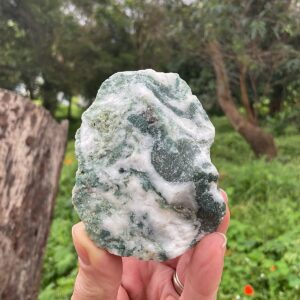 Raw Tree Agate