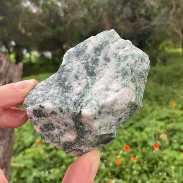 Raw Tree Agate - Image 2