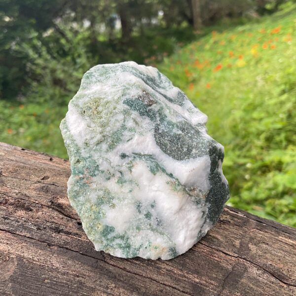 Raw Tree Agate - Image 3