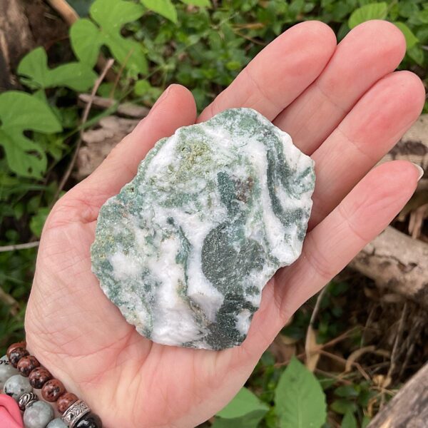 Raw Tree Agate - Image 4