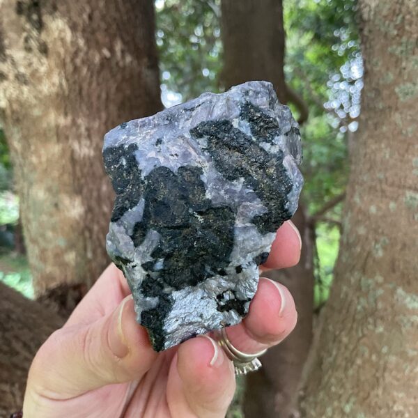 Raw Indigo Gabbro Jasper