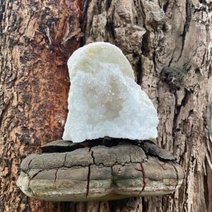 Moroccan Quartz Geode
