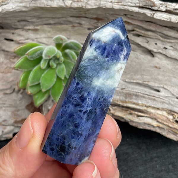 Sodalite Set - Image 3