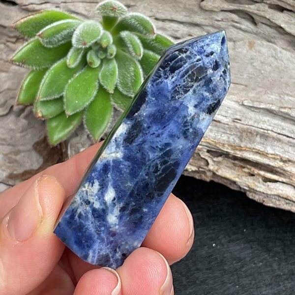 Sodalite Set - Image 4