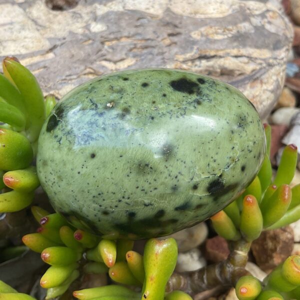 Serpentine Egg - Image 3
