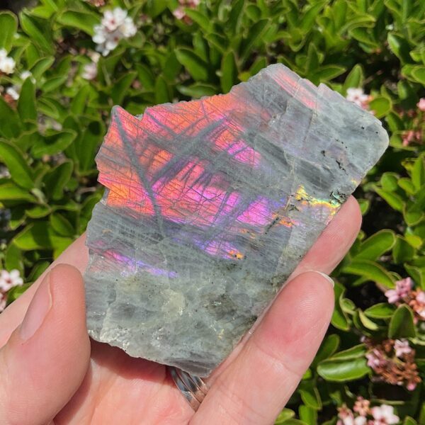 Rare Purple Labradorite Slab