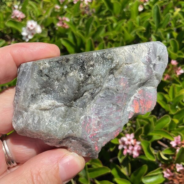 Rare Purple Labradorite Slab - Image 4