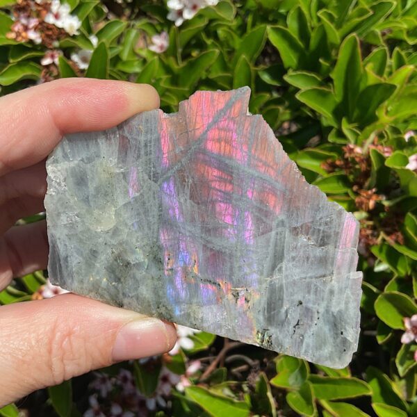 Rare Purple Labradorite Slab - Image 2