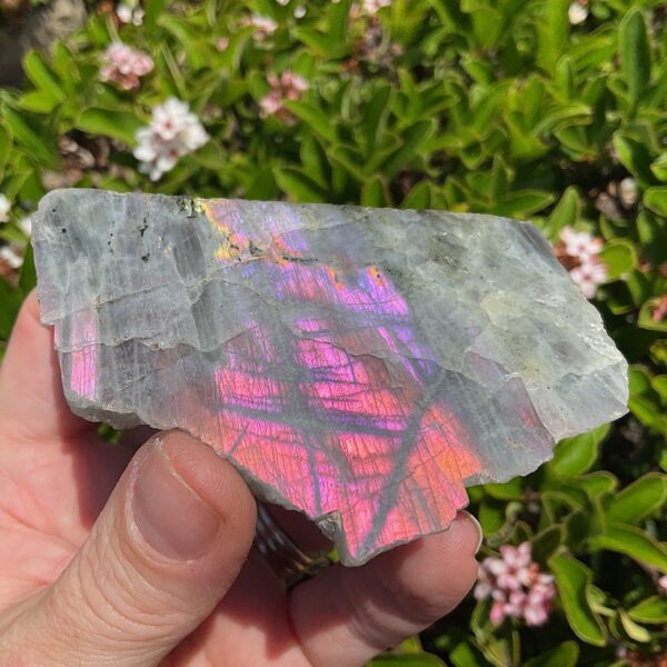 Rare Purple Labradorite Slab - Image 3