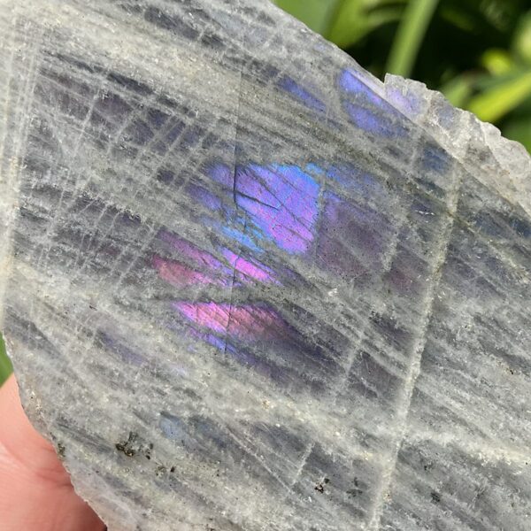 Rare Purple Labradorite Slab - Image 2