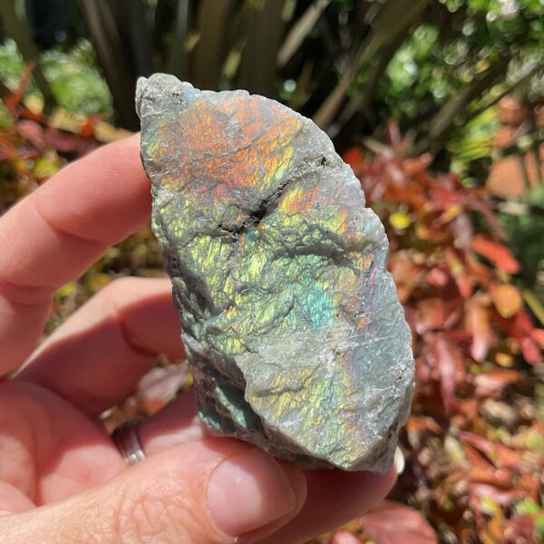 Raw Labradorite