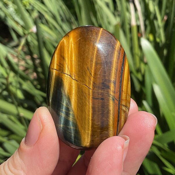 Tigers Eye Palm Stone - Image 2