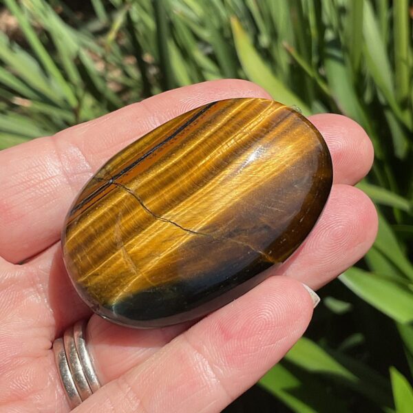 Tigers Eye Palm Stone - Image 3