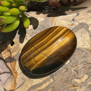 Tigers Eye Palm Stone
