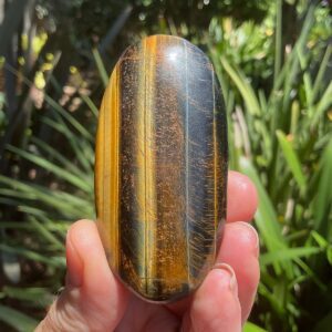 Tigers Eye Palm Stone