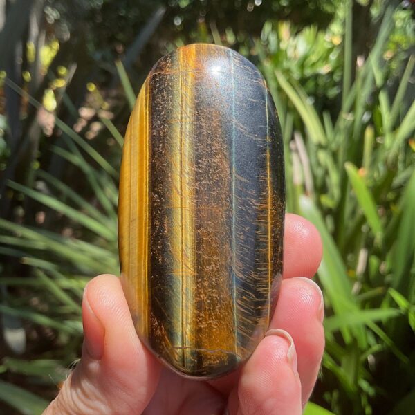 Tigers Eye Palm Stone