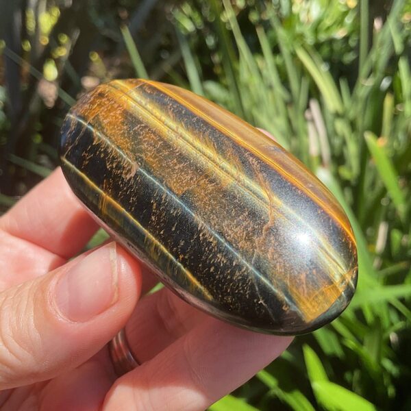 Tigers Eye Palm Stone - Image 2