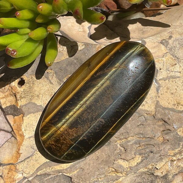 Tigers Eye Palm Stone - Image 3